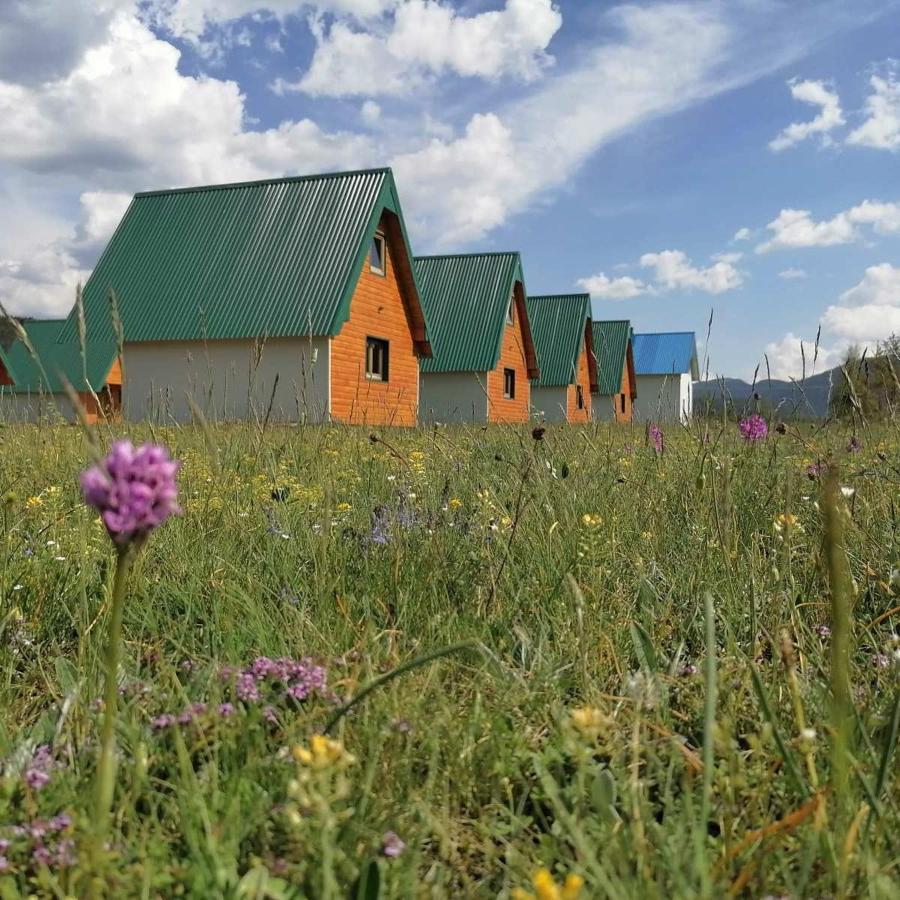 Vule Bungalovi Žabljak Extérieur photo