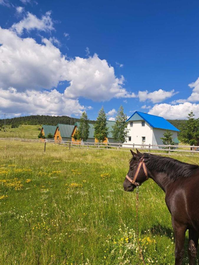Vule Bungalovi Žabljak Extérieur photo