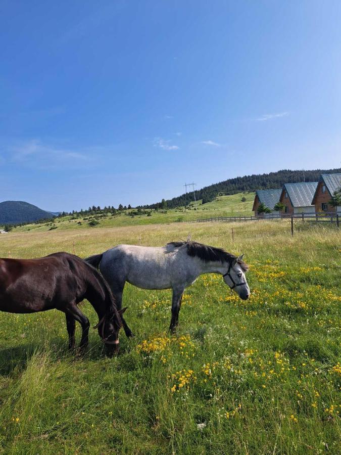 Vule Bungalovi Žabljak Extérieur photo